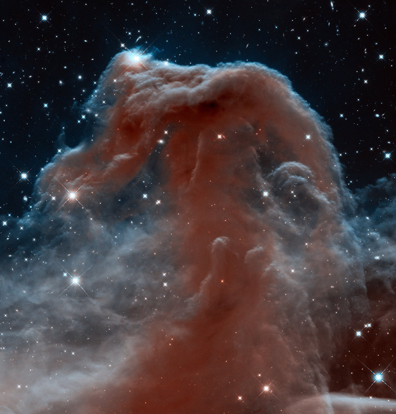 Hubble infrared image of the Horsehead Nebula in Orion.