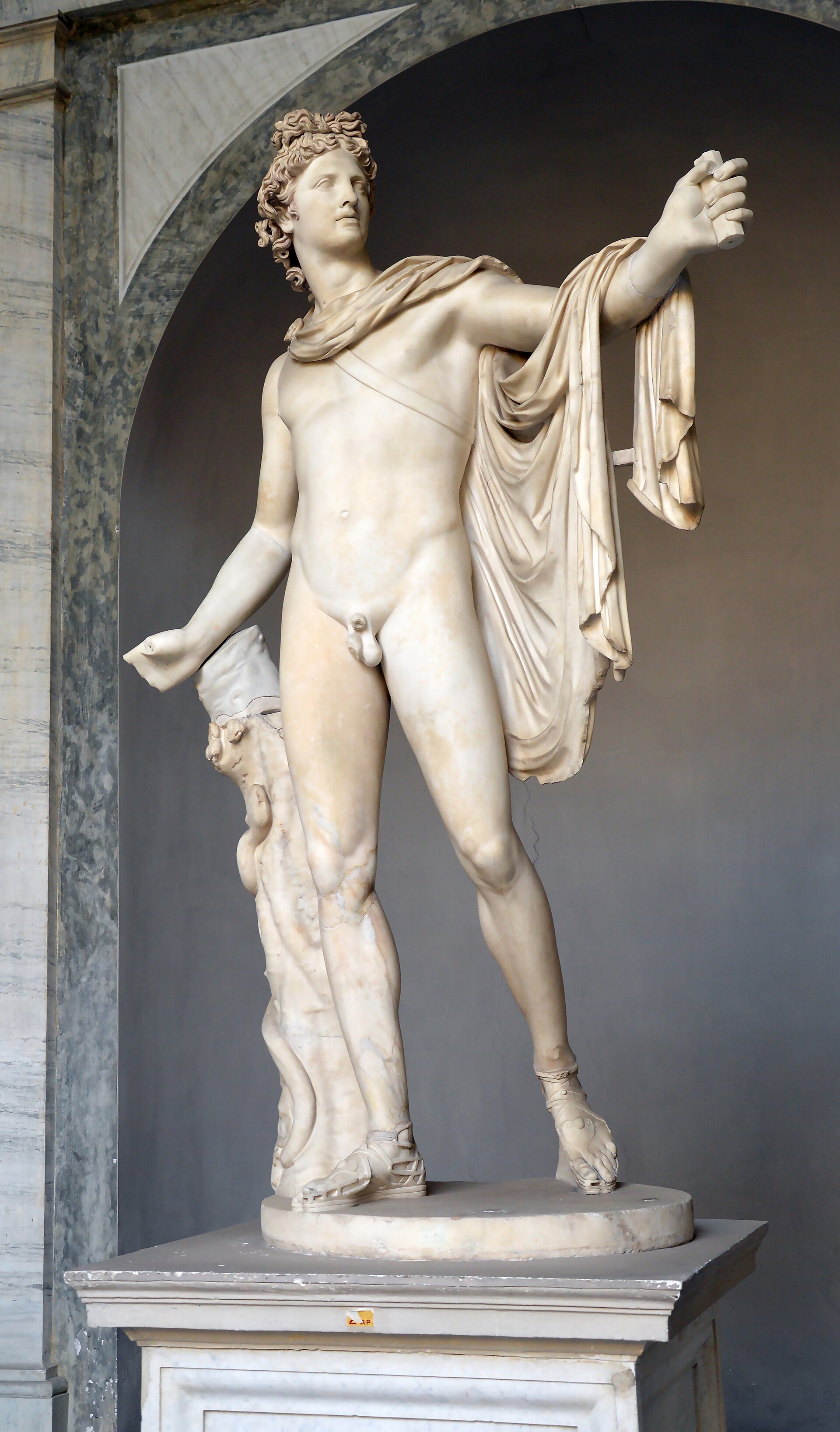 Apollo Belvedere - Roman marble, after a Greek bronze by Leochares